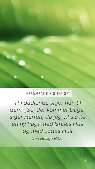 Hebræerne 8:8 DA1871 Bible Verse Image