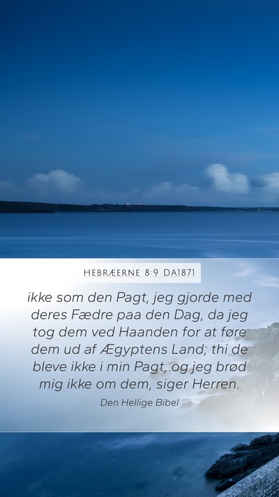 Hebræerne 8:9 DA1871 Bible Verse Image