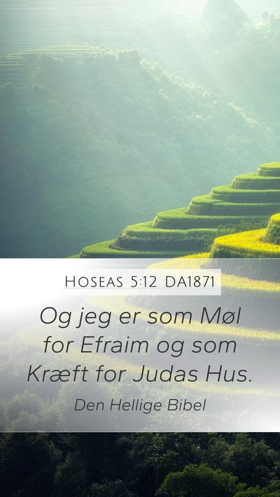 Hoseas 5:12 DA1871 Mobile Phone Wallpaper - Og jeg er som Møl for Efraim og som Kræft for - Mobile Bible Verse Wallpaper
