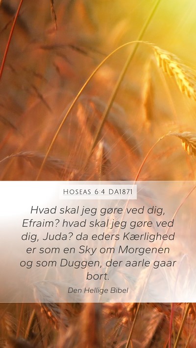 Hoseas 6:4 DA1871 Bible Verse Image