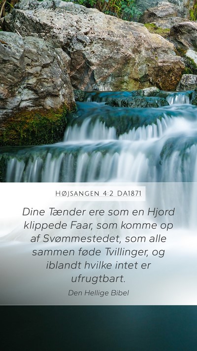 Højsangen 4:2 DA1871 Mobile Phone Wallpaper - Dine Tænder ere som en Hjord klippede Faar, som - Mobile Bible Verse Wallpaper