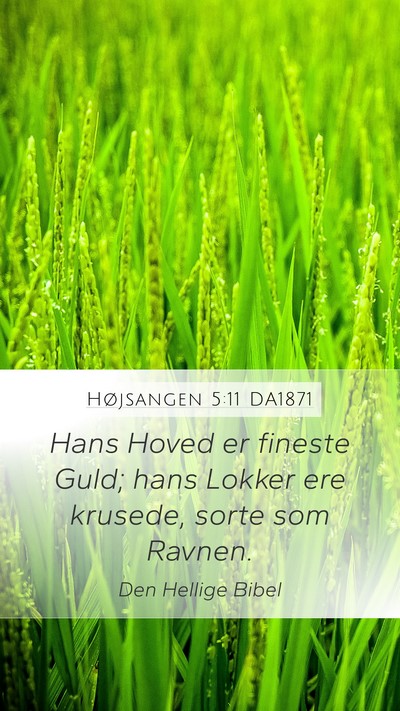 Højsangen 5:11 DA1871 Mobile Phone Wallpaper - Hans Hoved er fineste Guld; hans Lokker ere - Mobile Bible Verse Wallpaper