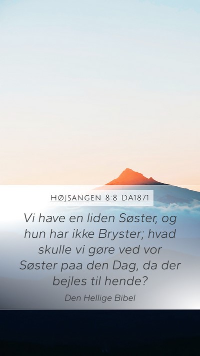 Højsangen 8:8 DA1871 Bible Verse Image