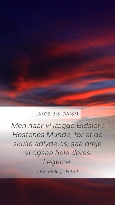 Jakob 3:3 DA1871 Bible Verse Image