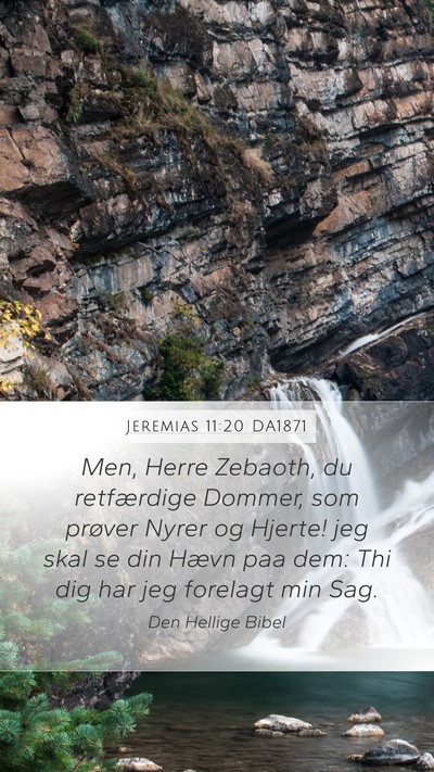 Jeremias 11:20 DA1871 Bible Verse Image