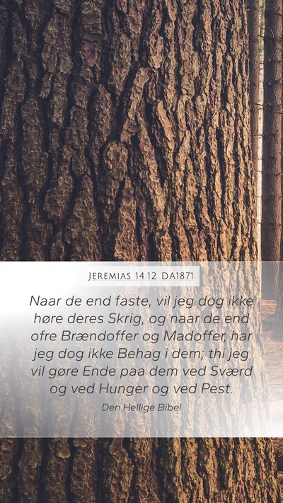 Jeremias 14:12 DA1871 Bible Verse Image