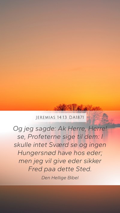 Jeremias 14:13 DA1871 Bible Verse Image