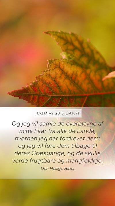 Jeremias 23:3 DA1871 Bible Verse Image