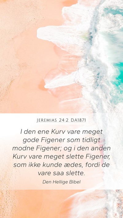 Jeremias 24:2 DA1871 Bible Verse Image