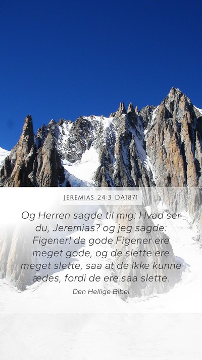 Jeremias 24:3 DA1871 Mobile Phone Wallpaper - Og Herren sagde til mig: Hvad ser du, Jeremias? - Mobile Bible Verse Wallpaper