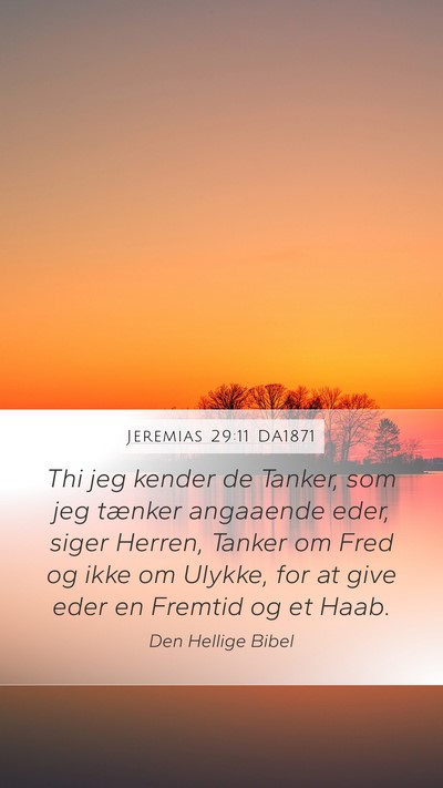 Jeremias 29:11 DA1871 Bible Verse Image