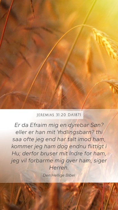 Jeremias 31:20 DA1871 Bible Verse Image