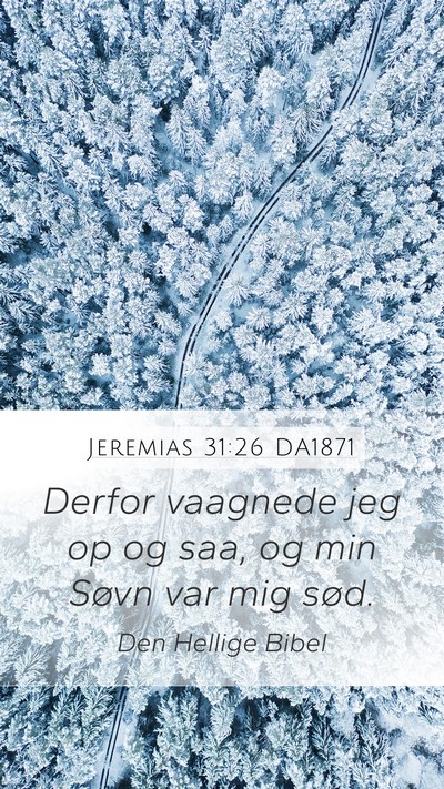 Jeremias 31:26 DA1871 Bible Verse Image