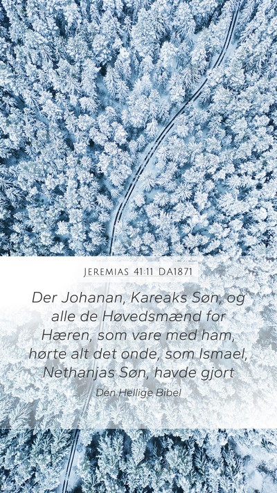 Jeremias 41:11 DA1871 Bible Verse Image