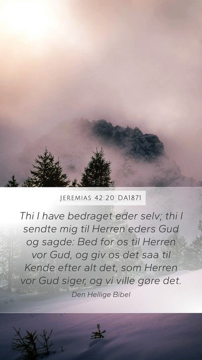 Jeremias 42:20 DA1871 Bible Verse Image