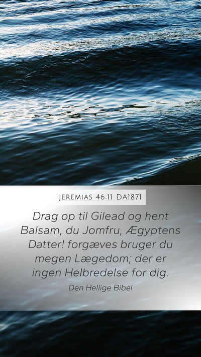 Jeremias 46:11 DA1871 Bible Verse Image