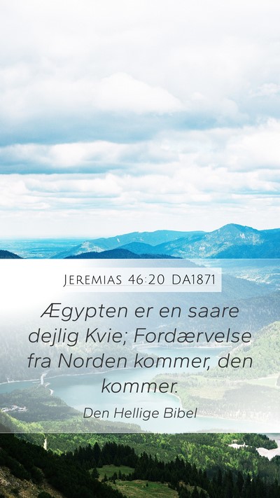 Jeremias 46:20 DA1871 Bible Verse Image