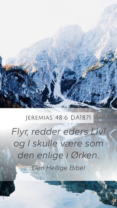 Jeremias 48:6 DA1871 Bible Verse Image