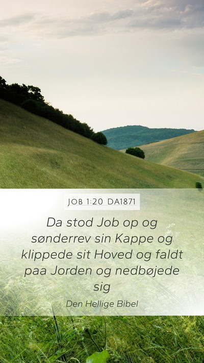 Job 1:20 DA1871 Bible Verse Image