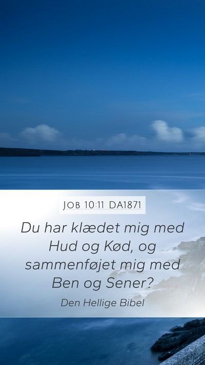 Job 10:11 DA1871 Mobile Phone Wallpaper - Du har klædet mig med Hud og Kød, og - Mobile Bible Verse Wallpaper