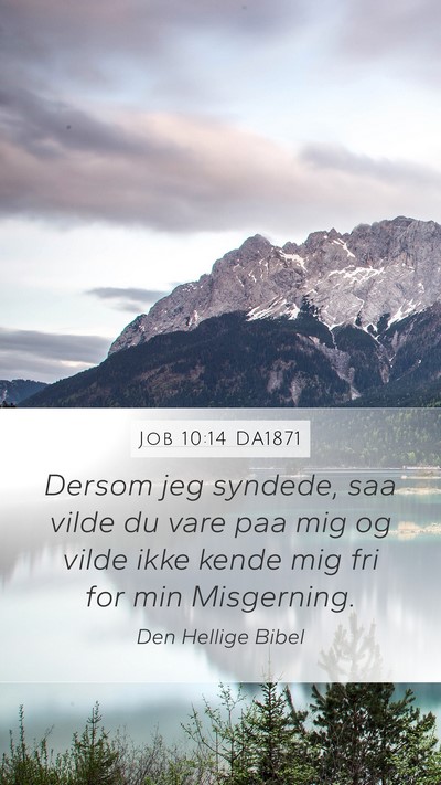 Job 10:14 DA1871 Bible Verse Image