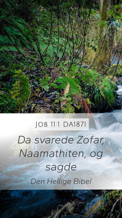 Job 11:1 DA1871 Mobile Phone Wallpaper - Da svarede Zofar, Naamathiten, og - Mobile Bible Verse Wallpaper