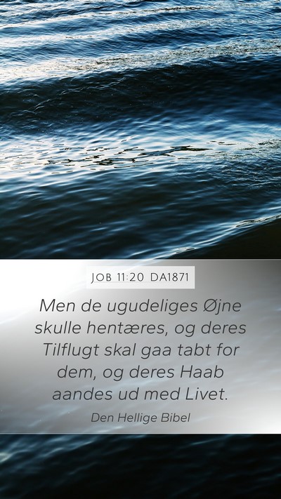 Job 11:20 DA1871 Bible Verse Image
