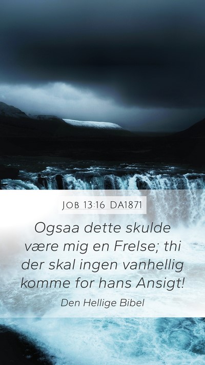 Job 13:16 DA1871 Bible Verse Image