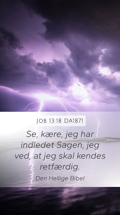 Job 13:18 DA1871 Bible Verse Image