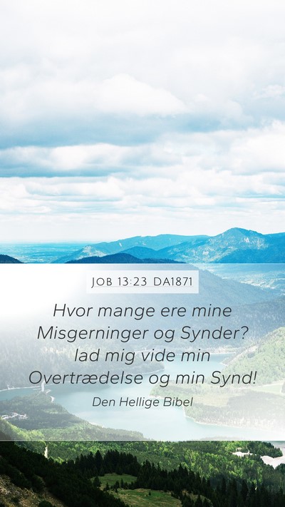 Job 13:23 DA1871 Bible Verse Image