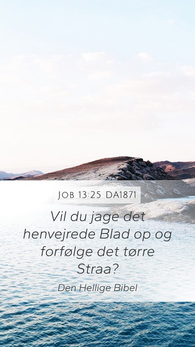 Job 13:25 DA1871 Bible Verse Image