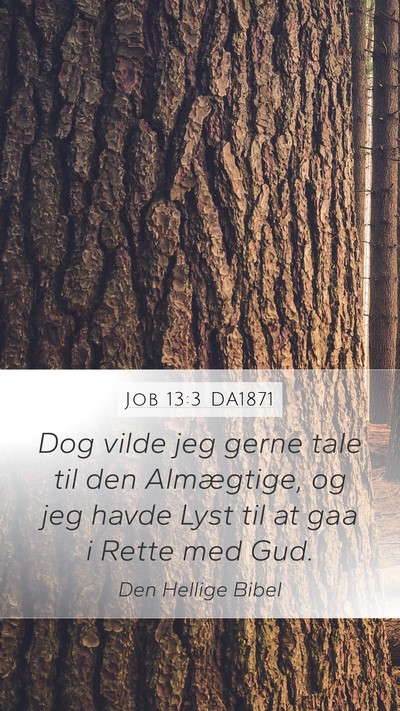 Job 13:3 DA1871 Bible Verse Image