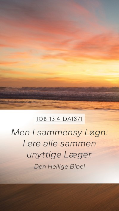 Job 13:4 DA1871 Bible Verse Image