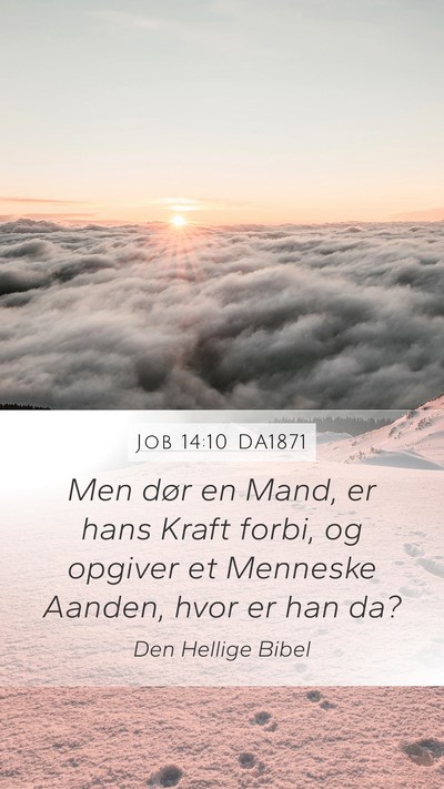 Job 14:10 DA1871 Bible Verse Image