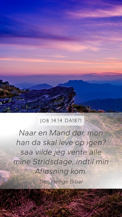 Job 14:14 DA1871 Bible Verse Image