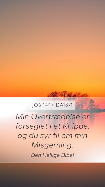 Job 14:17 DA1871 Bible Verse Image