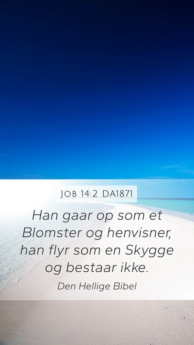 Job 14:2 DA1871 Bible Verse Image