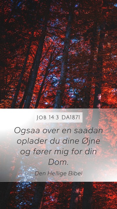 Job 14:3 DA1871 Bible Verse Image