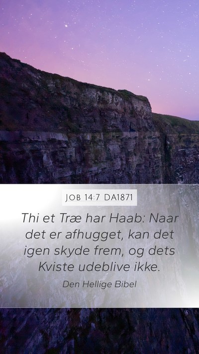 Job 14:7 DA1871 Bible Verse Image