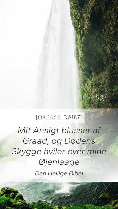 Job 16:16 DA1871 Bible Verse Image