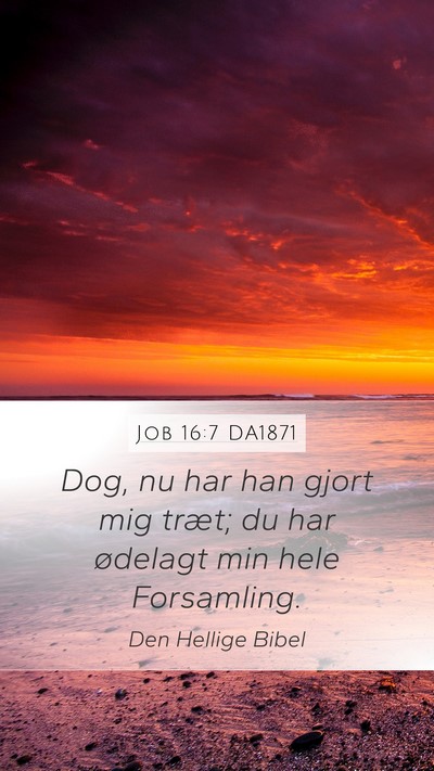 Job 16:7 DA1871 Bible Verse Image