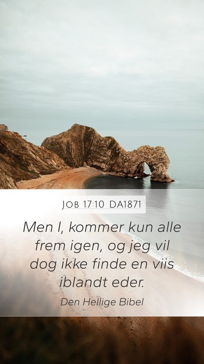 Job 17:10 DA1871 Bible Verse Image