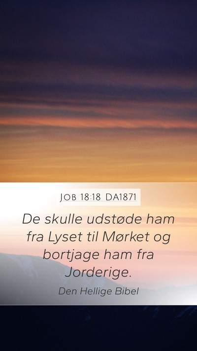 Job 18:18 DA1871 Bible Verse Image