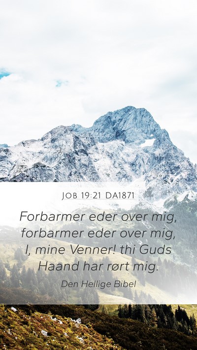 Job 19:21 DA1871 Bible Verse Image