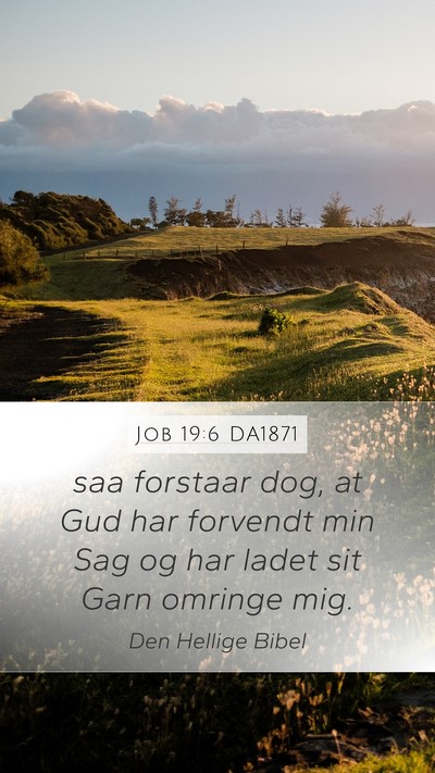 Job 19:6 DA1871 Bible Verse Image
