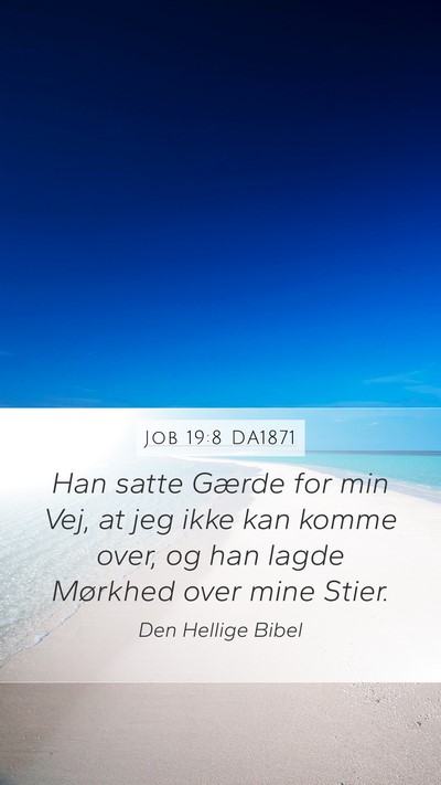 Job 19:8 DA1871 Bible Verse Image