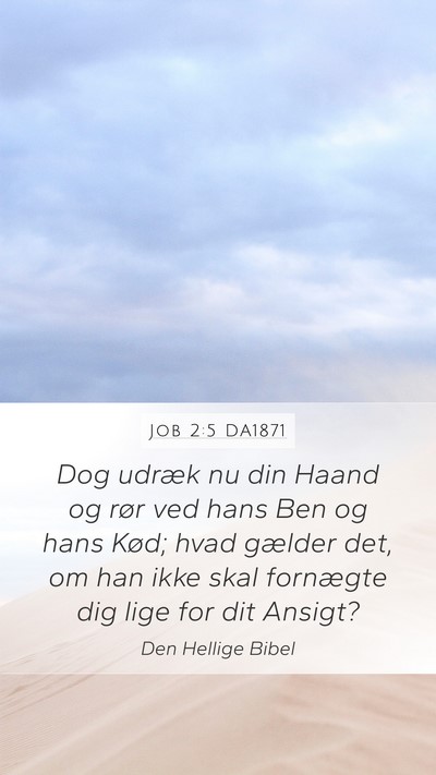 Job 2:5 DA1871 Bible Verse Image