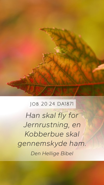 Job 20:24 DA1871 Bible Verse Image