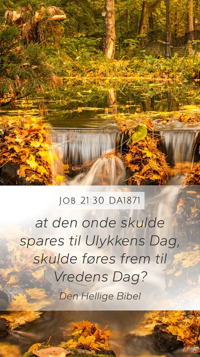 Job 21:30 DA1871 Bible Verse Image