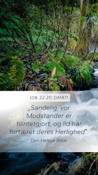 Job 22:20 DA1871 Mobile Phone Wallpaper - „Sandelig, vor Modstander er tilintetgjort, og - Mobile Bible Verse Wallpaper